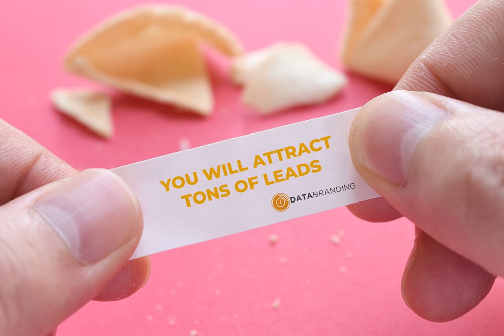 ATTRACT TONS OF LEADS FORTUNE TELLER