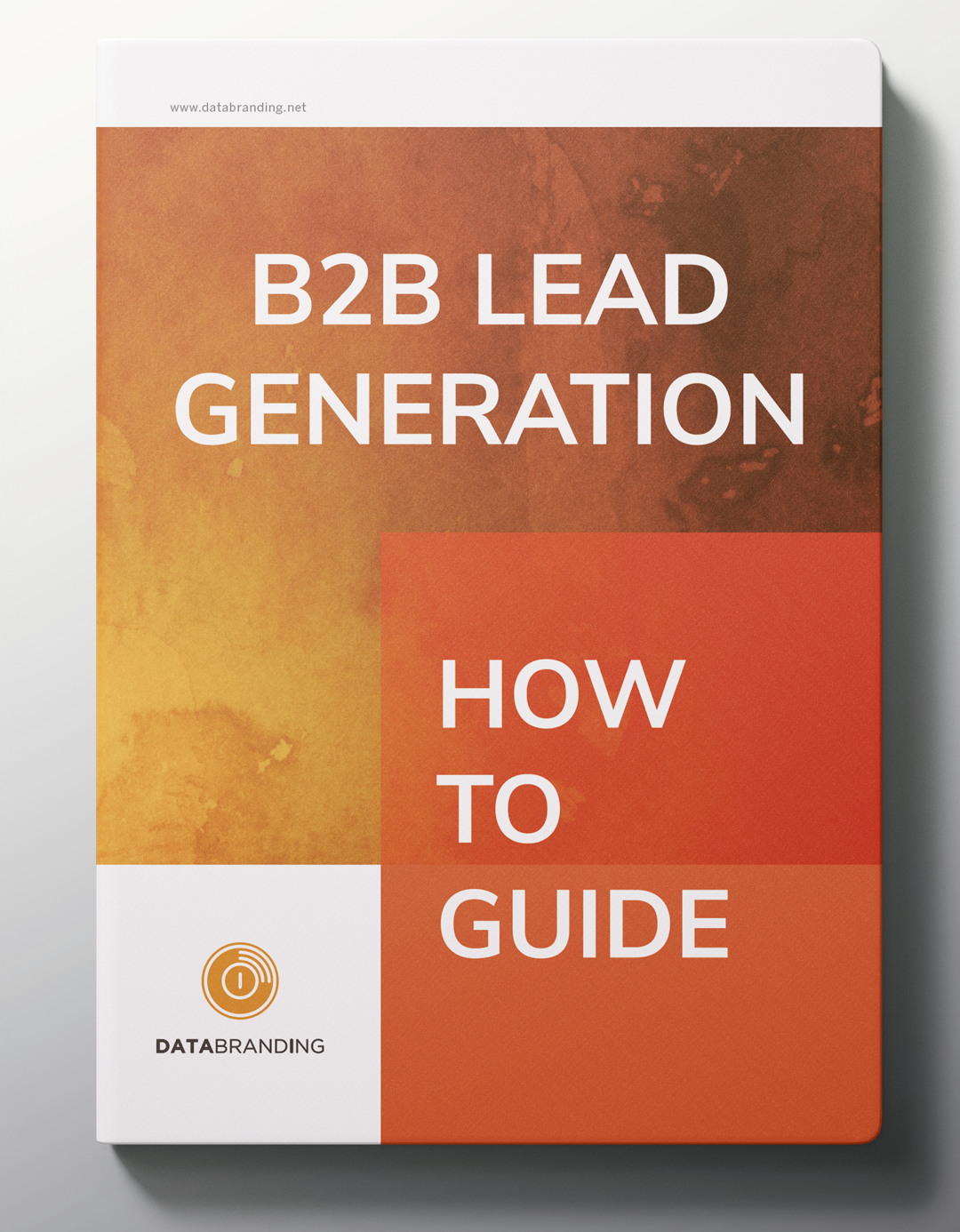B2B-LEAD-GENERATION-HOW-TO-GUIDE