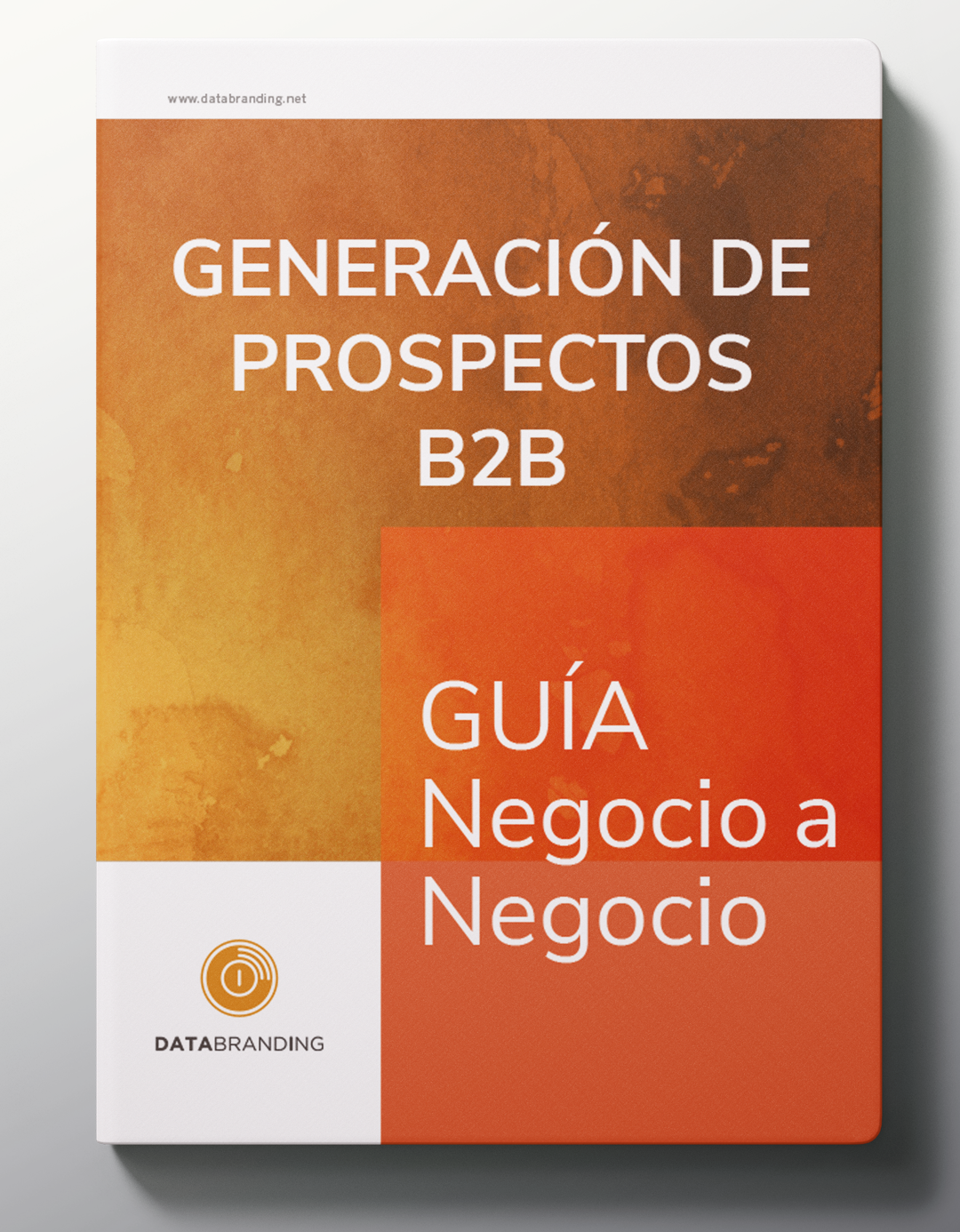 B2B GUÍA DE GENERACIÓN DE PROSPECTOS